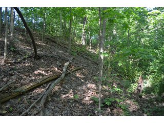 Property photo 7 - 108 +/- Acres Offered in 2 Tracts - Land Auction